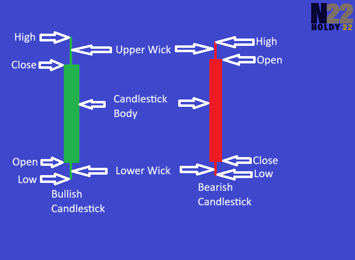 Cannlestick Anatomy